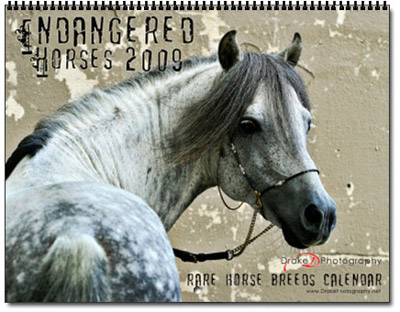 breeds of horses. Rare Horse Breeds Calendar