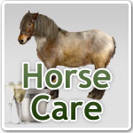 Horse care Horse care