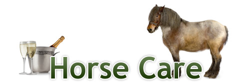 Horse Care Horse Care