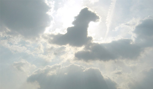 Horse Shaped Cloud Horse Shaped Cloud
