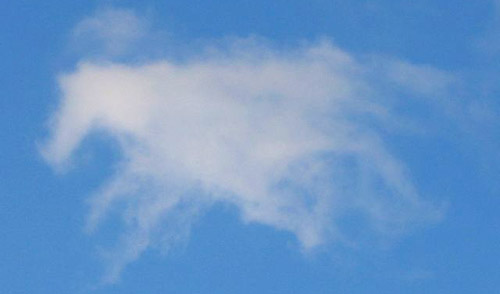 Horse Shaped Cloud Horse Shaped Cloud