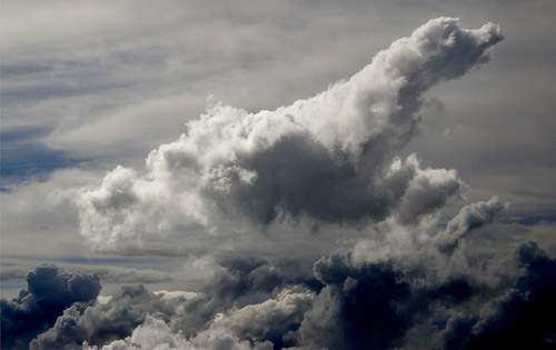 Horse Shaped Cloud Horse Shaped Cloud