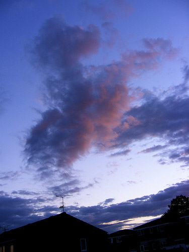 Horse Shaped Cloud Horse Shaped Cloud