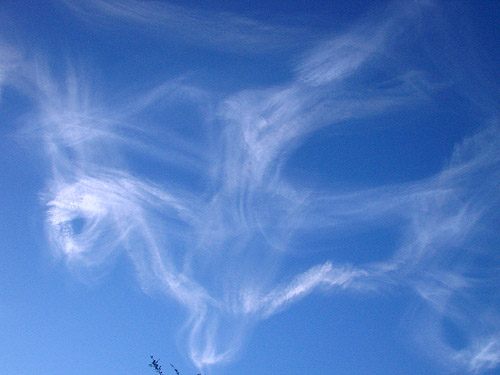 Horse Shaped Cloud Horse Shaped Cloud