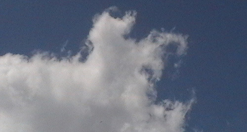 Horse Shaped Cloud Horse Shaped Cloud