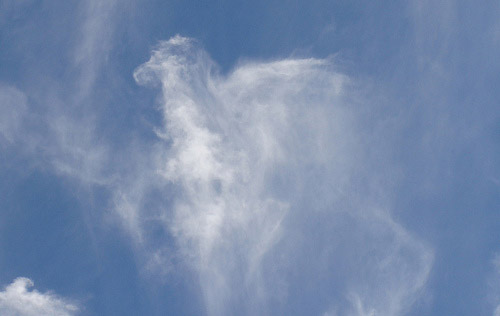 Horse Shaped Cloud Horse Shaped Cloud