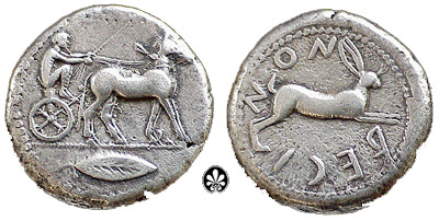 Italian Horse Coin