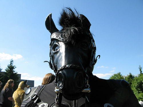 Man in horse costume