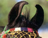 Marwari Horse Ears