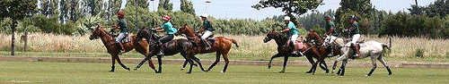 Horse Games Horse Games