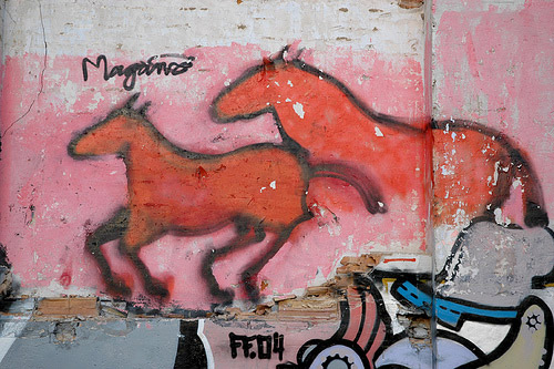 Horse Graffiti Horse Graffiti