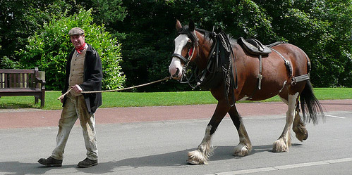 Horse Job Man leading horse