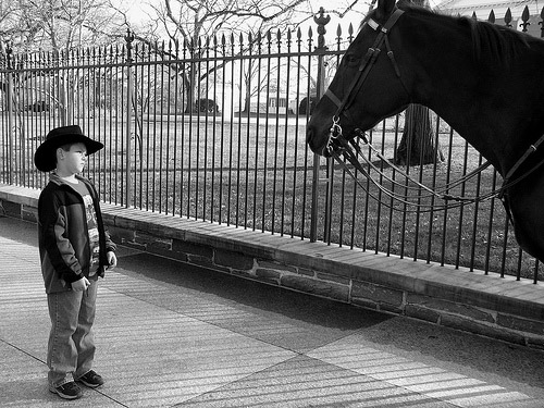 Checking Each Other Out Child and horse staring at each other