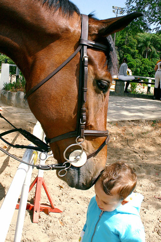 Hi There Horse nuzzling kids head
