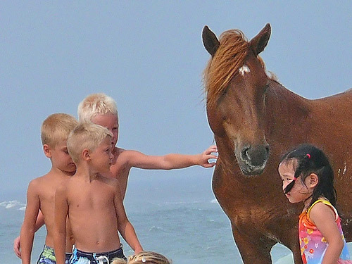 A day at the beach Kids and a horse on the beach