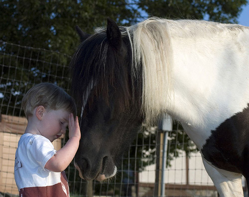 New Friends Child petting pony