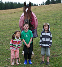 Horses & Kids