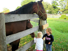 Horses & Kids