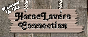 Horse lovers connection