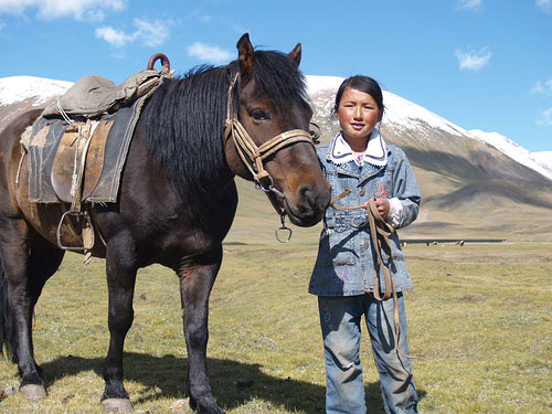 Horses in Mongolia Horses in Mongolia