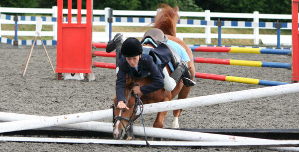 Horse Oops Horse Oops