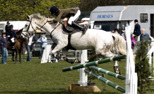 Horse Oops Horse Oops