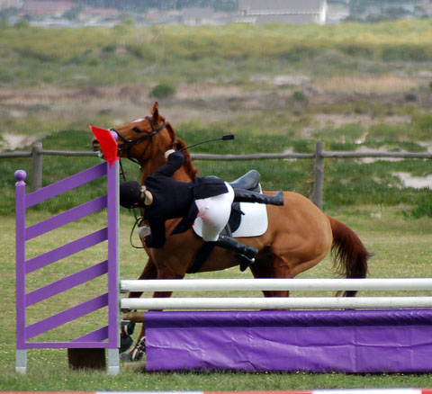 Horse Oops Horse Oops