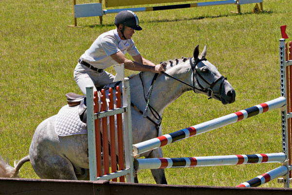 Horse Oops Horse Oops