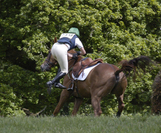 Horse Oops Horse Oops