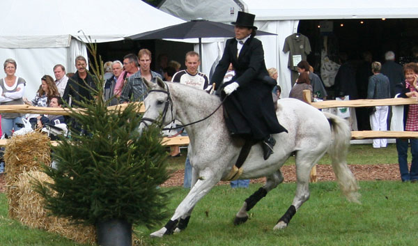 Horse Oops Horse Oops