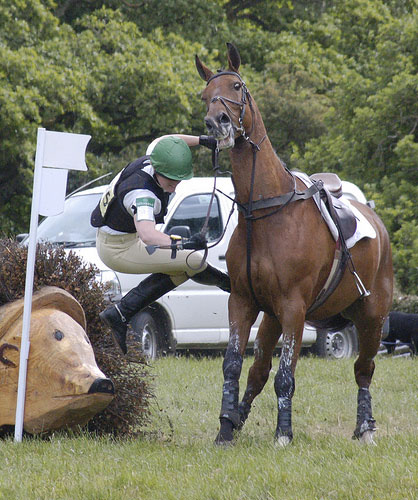 Horse Oops Horse Oops