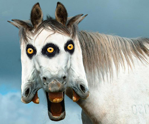 Photoshopped three headed horse