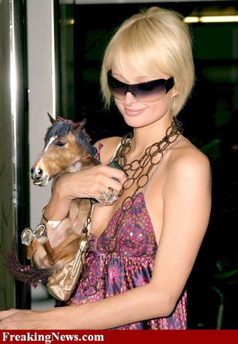 Photoshopped Paris Hilton holding tiny horse