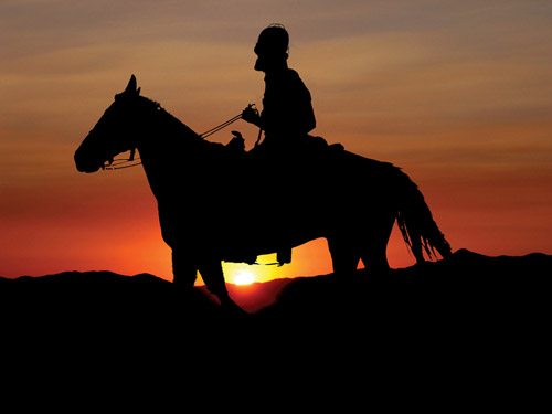 Photoshopped Paris Homer Simpson on horseback at sunset