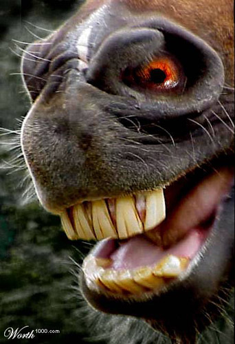 I see you Photoshopped Nose eye