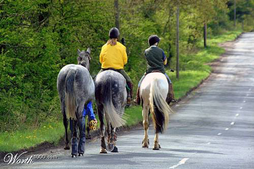 A different approach Photoshopped rider carrying horse