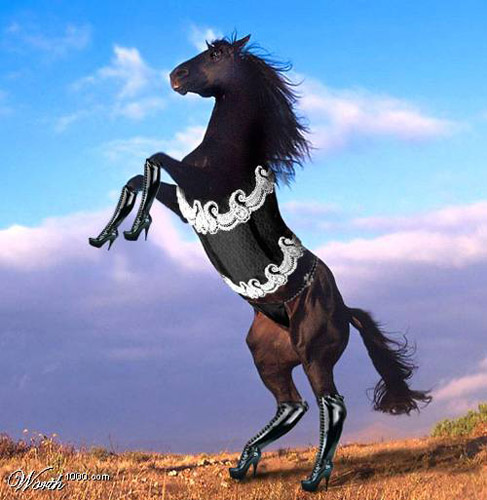 Photoshopped girl horse