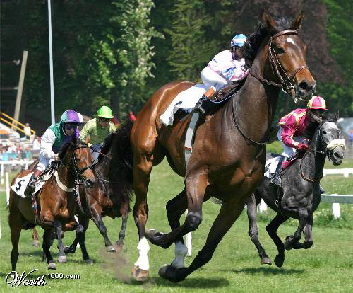 Horse Racing Photoshopped horse racing