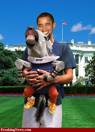 Obama and the white horse Photoshopped Obama and the white horse
