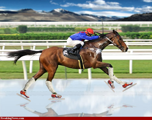 Photoshopped skating racehorse