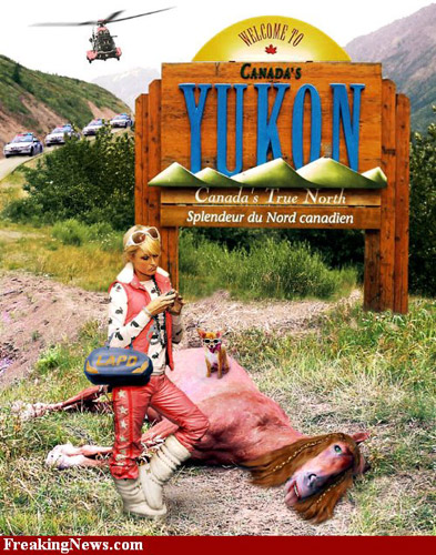 Paris and her horse Photoshopped Paris Hilton and a dead pink horse