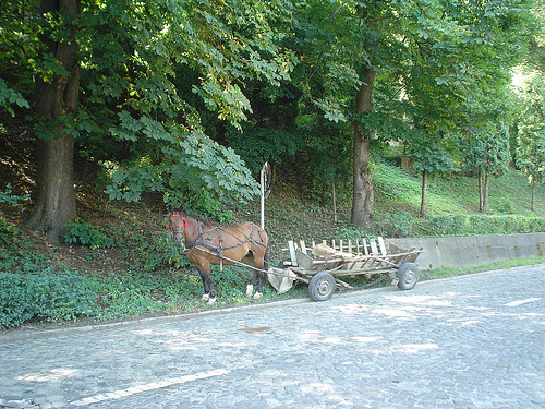 Horse and wagon in Romania Horse in Romania