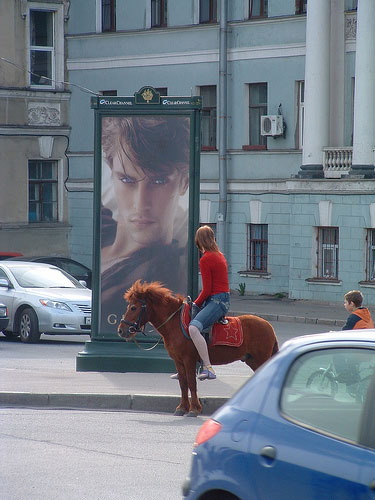 Horses in Russia