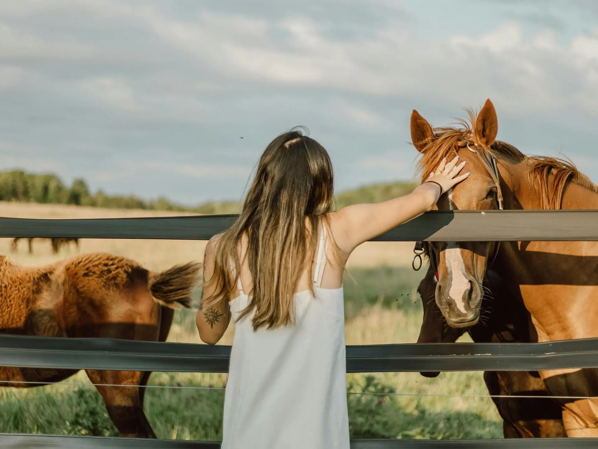 Woman petting a horse