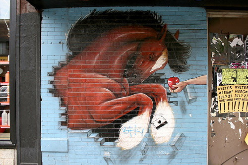 Horse Graffiti Horse Graffiti