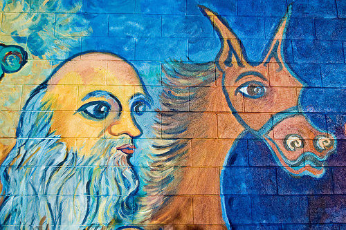Horse Graffiti Horse Graffiti