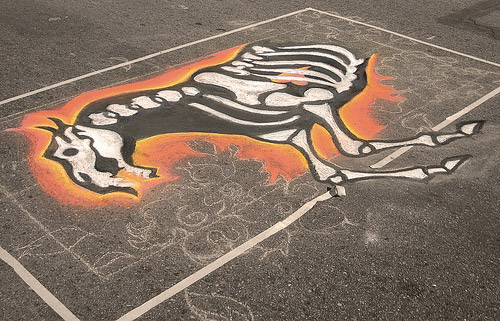 Horse Graffiti Horse Graffiti