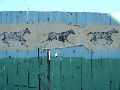 Horse Graffiti Horse Graffiti