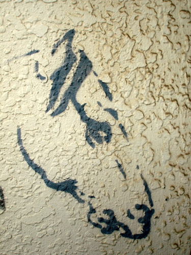 Horse Graffiti Horse Graffiti