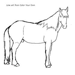Horse to color